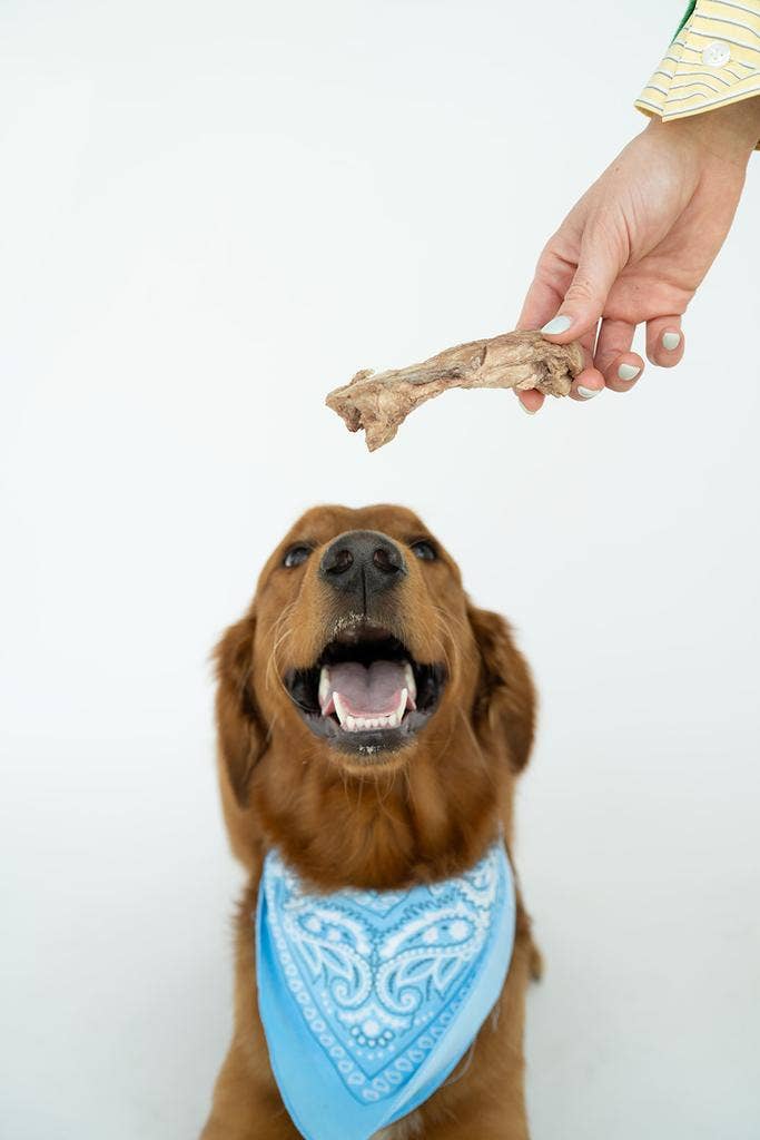 Winnie Lou - Bison Tendon Chews Image