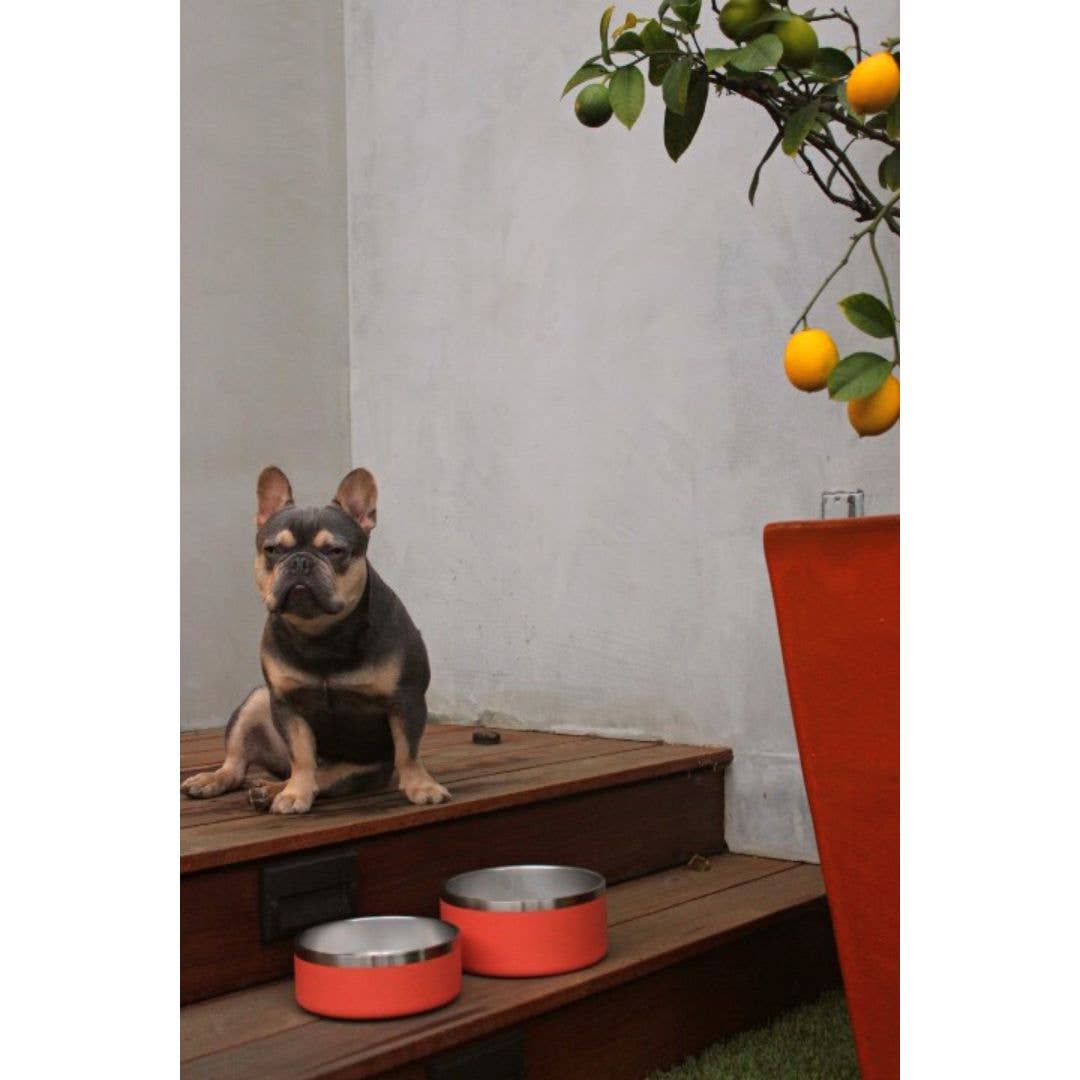 Load image into Gallery viewer, Tilley + Me - 32 oz Stainless Steel Dog Food/Water Bowl - Dishwasher Safe  Image

