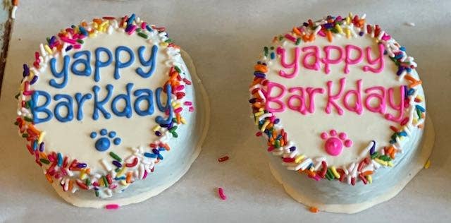 Taj Ma-Hound Bakery for Dogs - Yogurt Covered Sprinkle Cake w/Blue Writing Image