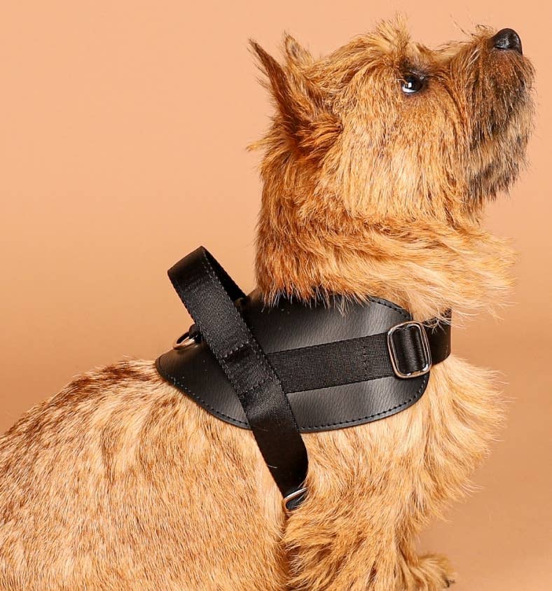 Hozi - Saddle Harness - Black Image