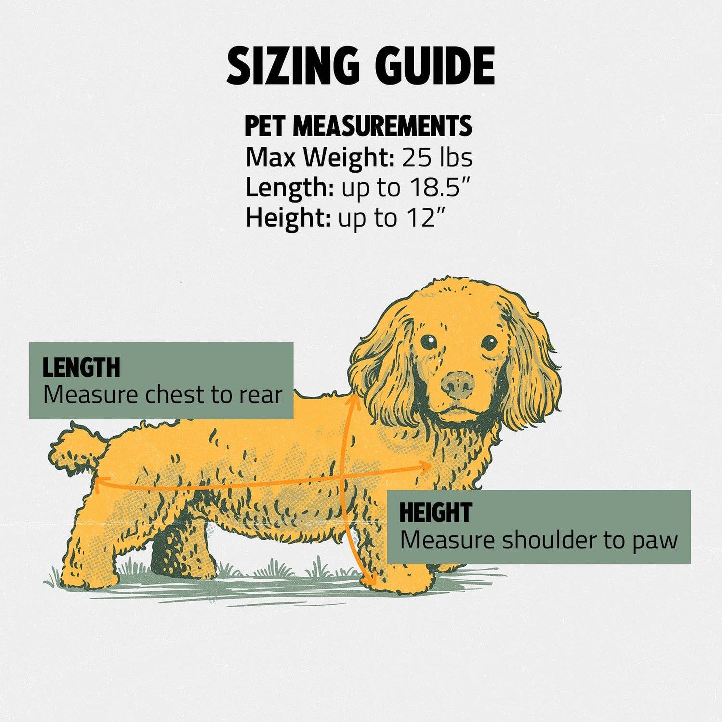 ROVERLUND - READY-FOR-ADVENTURE PET BACKPACK Image