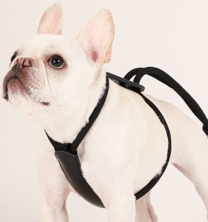 Hozi - [NEW] Essential Harness - Black Image