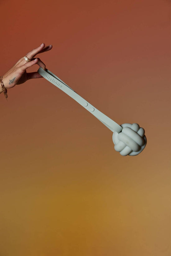 maxbone - Enrichment Tether Toy Image