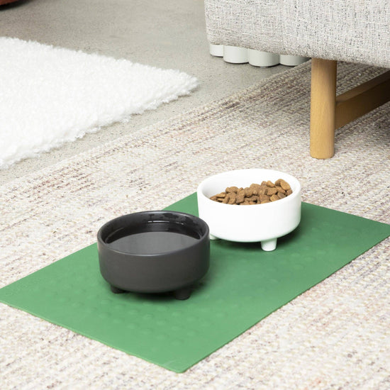 Waggo - Uplift Bowl Ceramic Dog Bowl Image