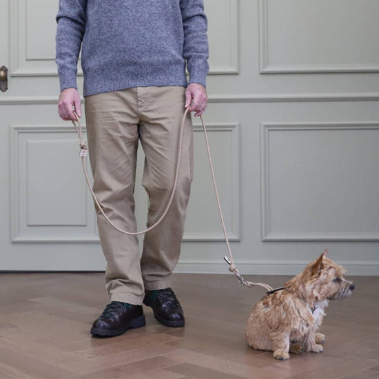 Hozi - [NEW] Essential Leash - Beige Image