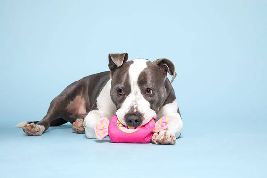 BARK Bubble Gum Image