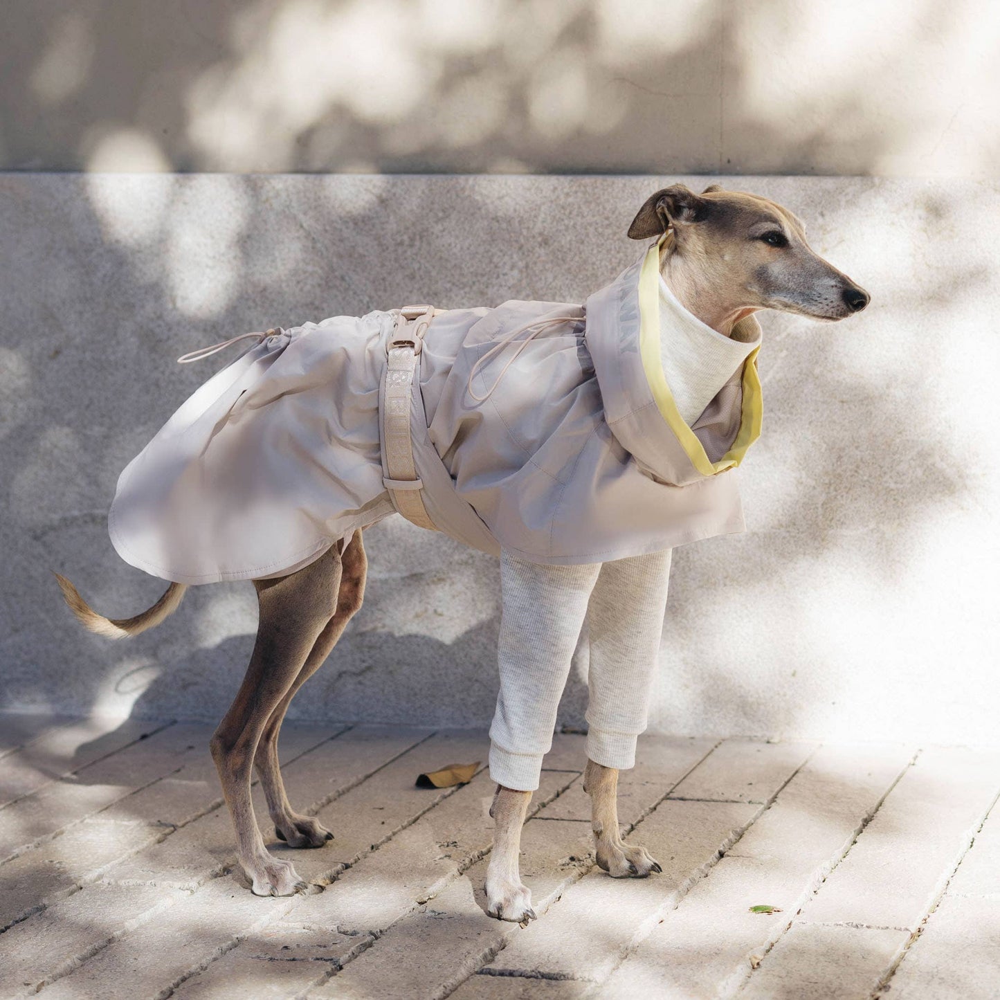 Pups & Bubs - Lumi Raincoat Sand Image
