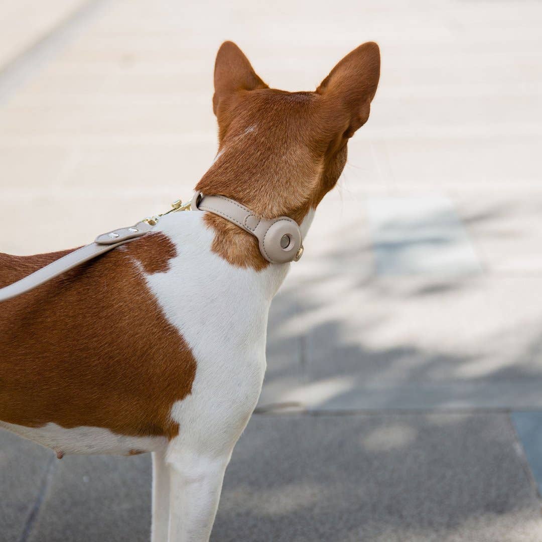 Nina Woof - Collar - Air Tag Enabled - Vegan Leather - Cupertino Image