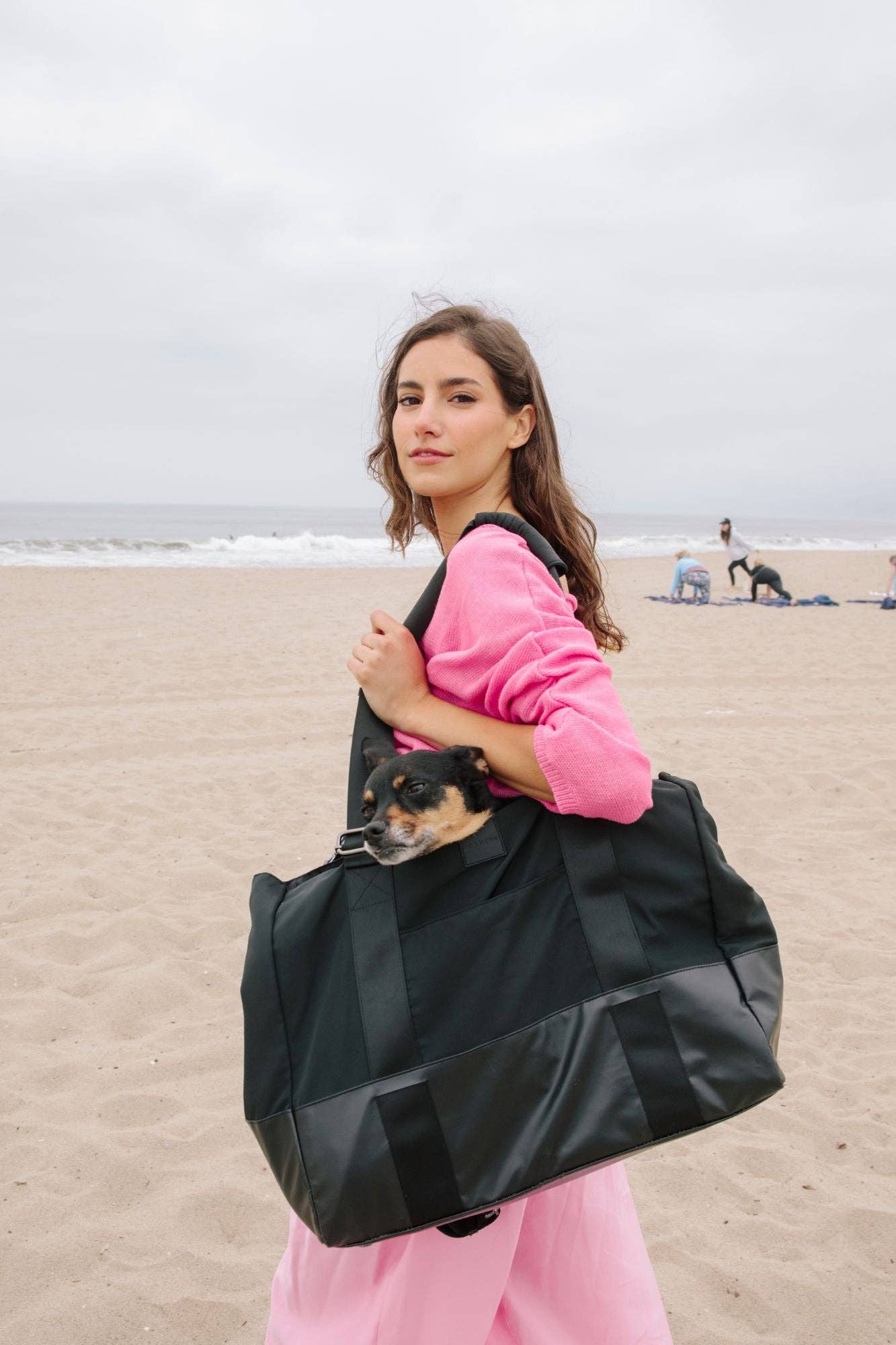 maxbone - Commuter Dog Carrier Bag Image