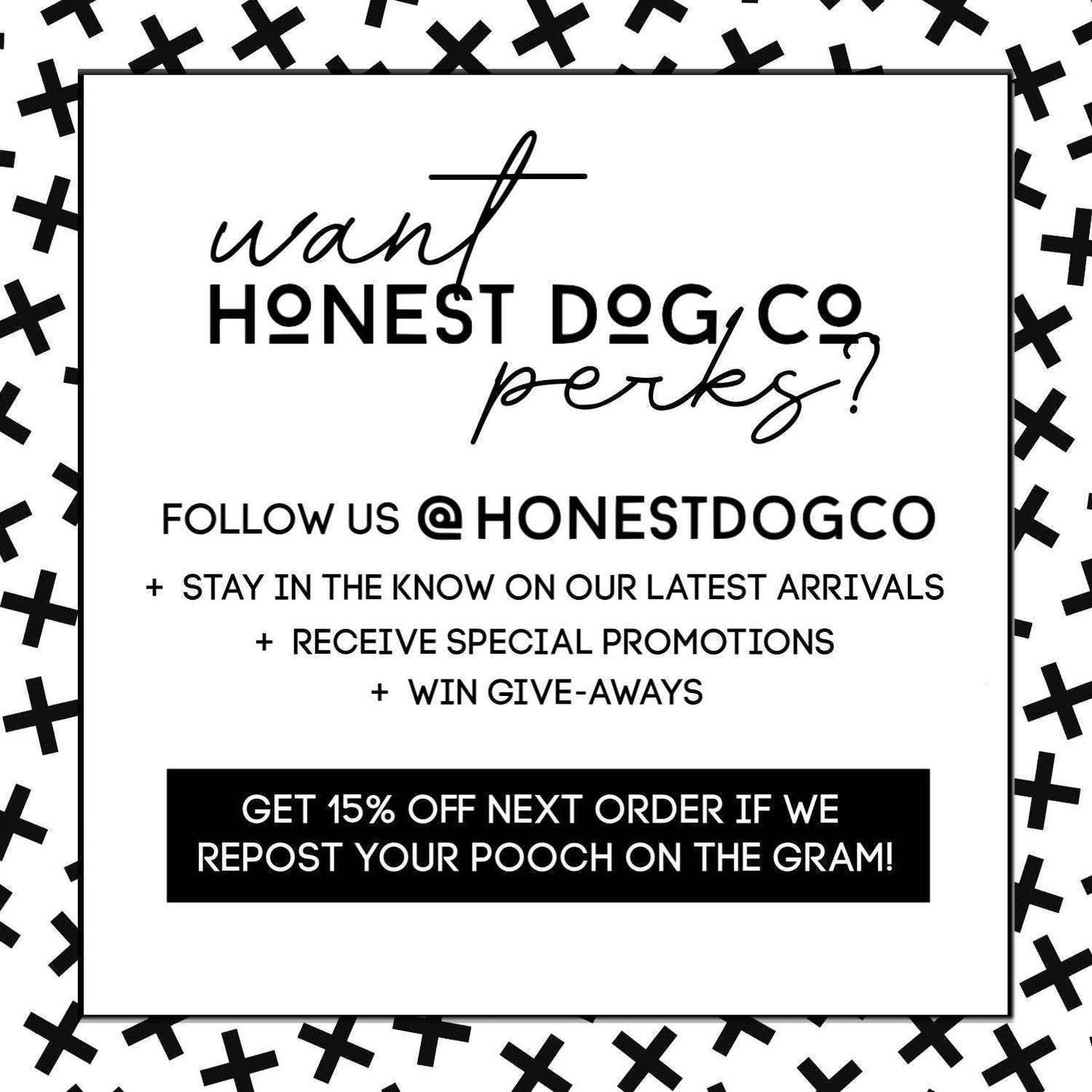 The Honest Dog Company - Grateful Dead Dog Hoodie Image
