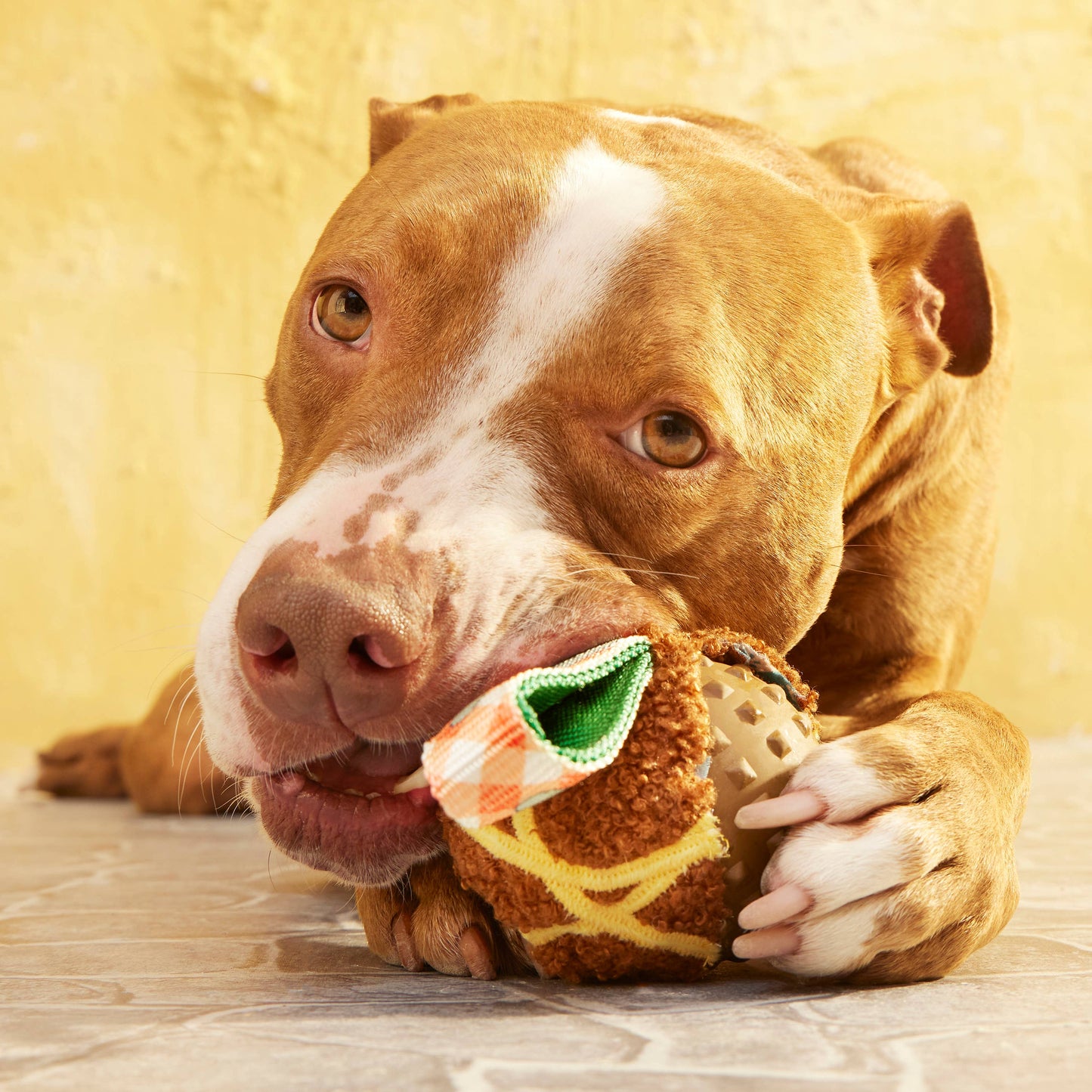 BARK Super Chewer A Squeaky Meat-A-Ball Dog Chew Toy M Image