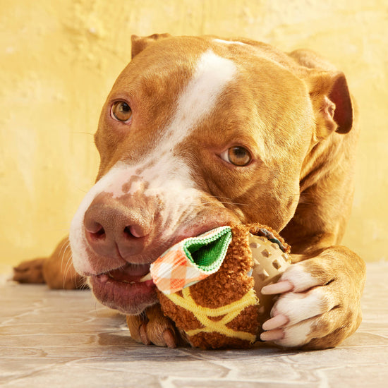 BARK Super Chewer A Squeaky Meat-A-Ball Dog Chew Toy M Image