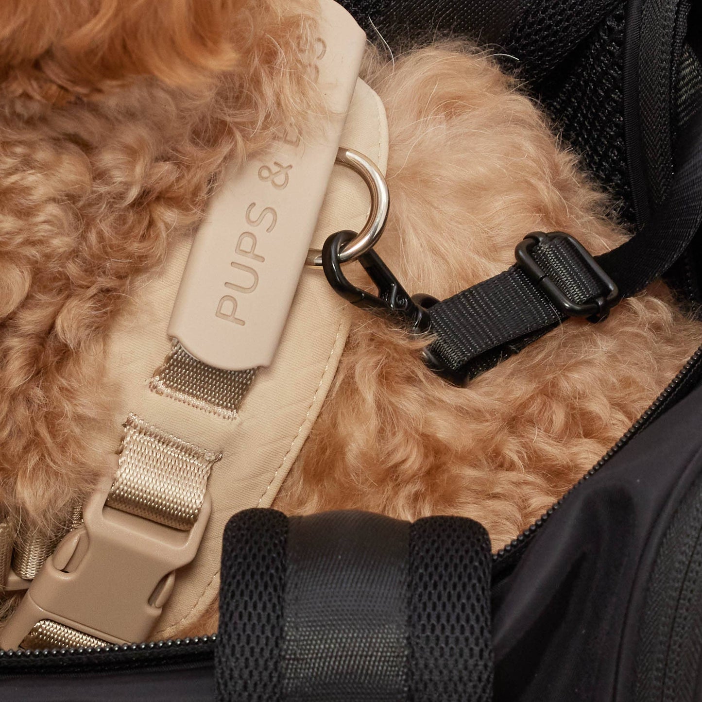 Pups & Bubs - Onboard Travel Pet Carrier (Airline Compliant) Image
