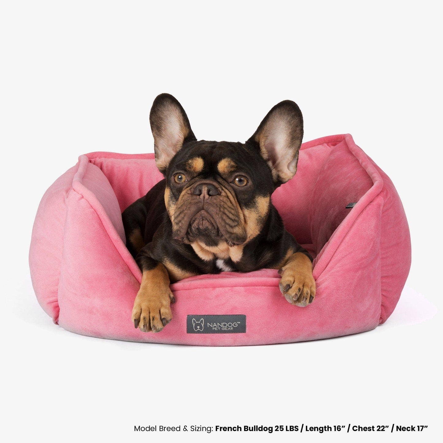 Nandog Pet Gear - Signature Bed in Electric Pink Image