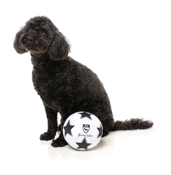 FuzzYard Soccer Ball Plush Dog Toy  Image