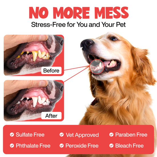 Roofus - Roofus Dental Wipes | Fragrance Free | 60ct Image