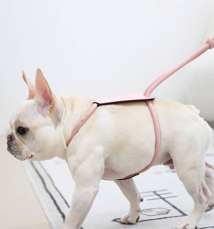 Hozi - Essential Harness - Pink Image