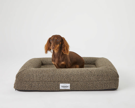 Load image into Gallery viewer, TEDDY LONDON - SMALL BOUCLE BED IN BROWN/KHAKI  Image
