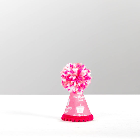 Pup Party Hats - NEW Birthday Girl Pink Ink Party Hat