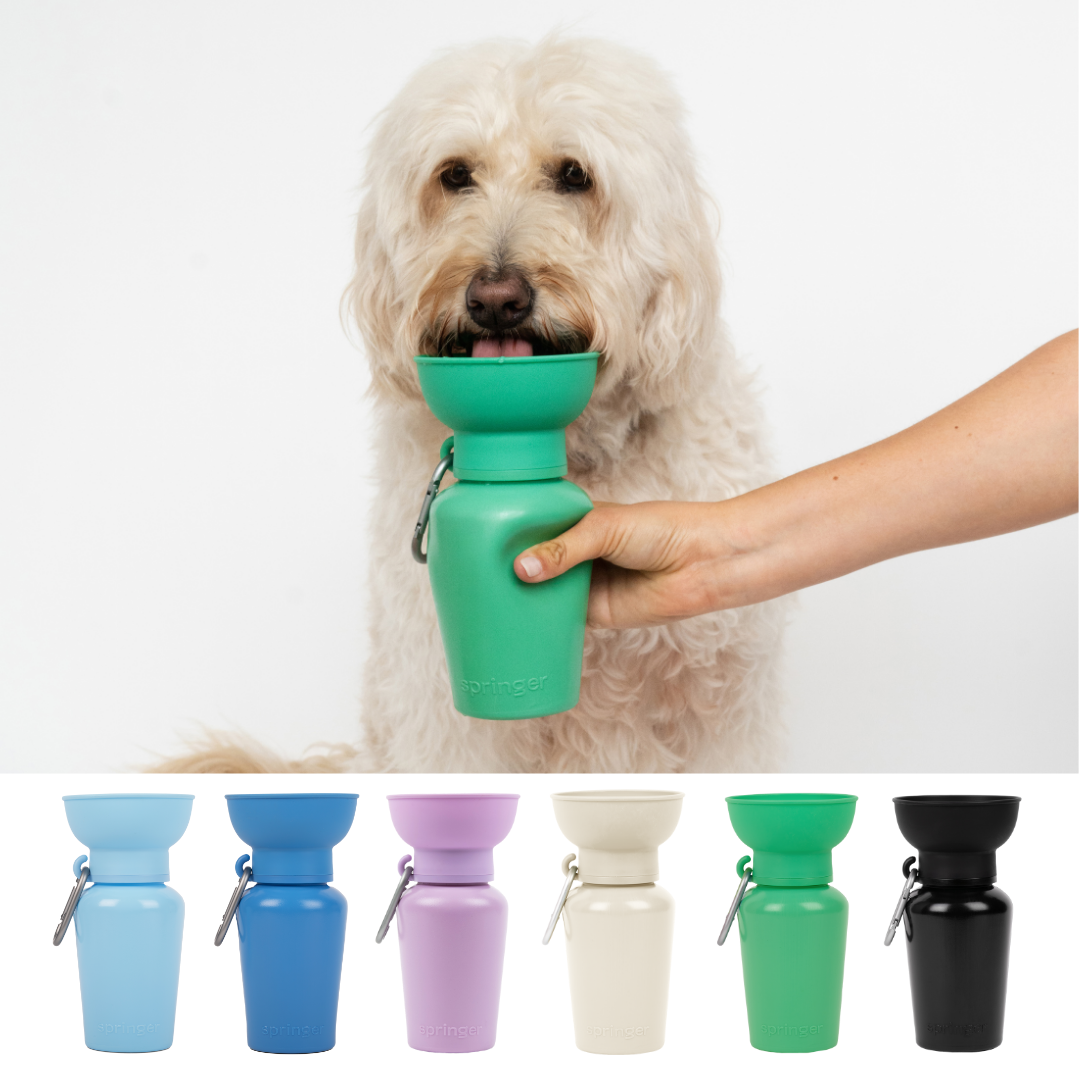 Springer Pets - Dog Travel Water Bottle, 20oz Image
