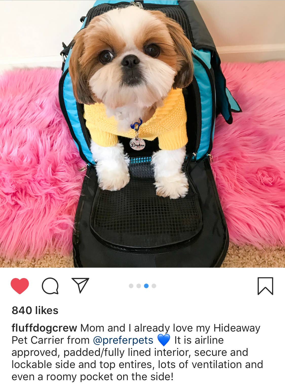 Prefer Pets Travel Gear - Hideaway Duffel - Aqua Image