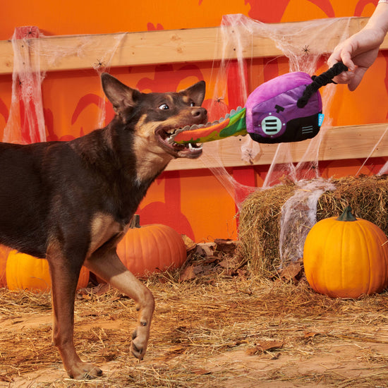 BARK Texas Chainspaw Plush Dog Toy Image