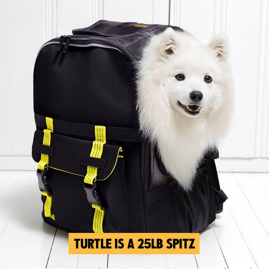 ROVERLUND - READY-FOR-ADVENTURE PET BACKPACK Image