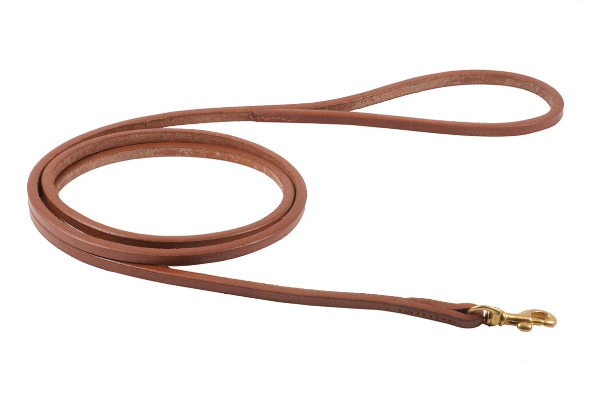 Alvalley - Flat Leather Snap Leads Image