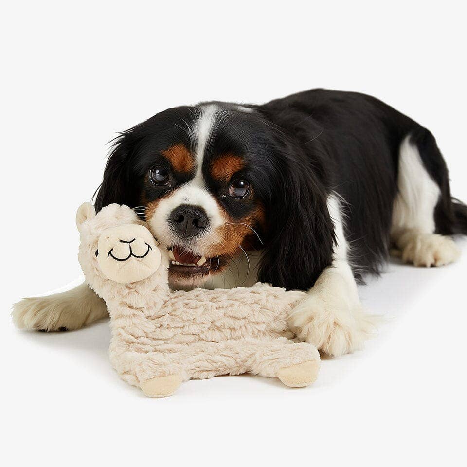 Nandog Pet Gear - My BFF Grumpy The Alpaca Plush Dog Toy Image