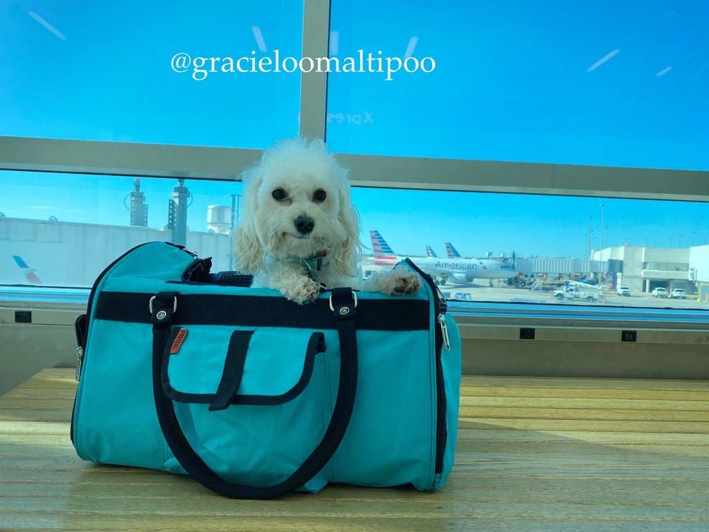 Prefer Pets Travel Gear - Hideaway Duffel - Aqua Image