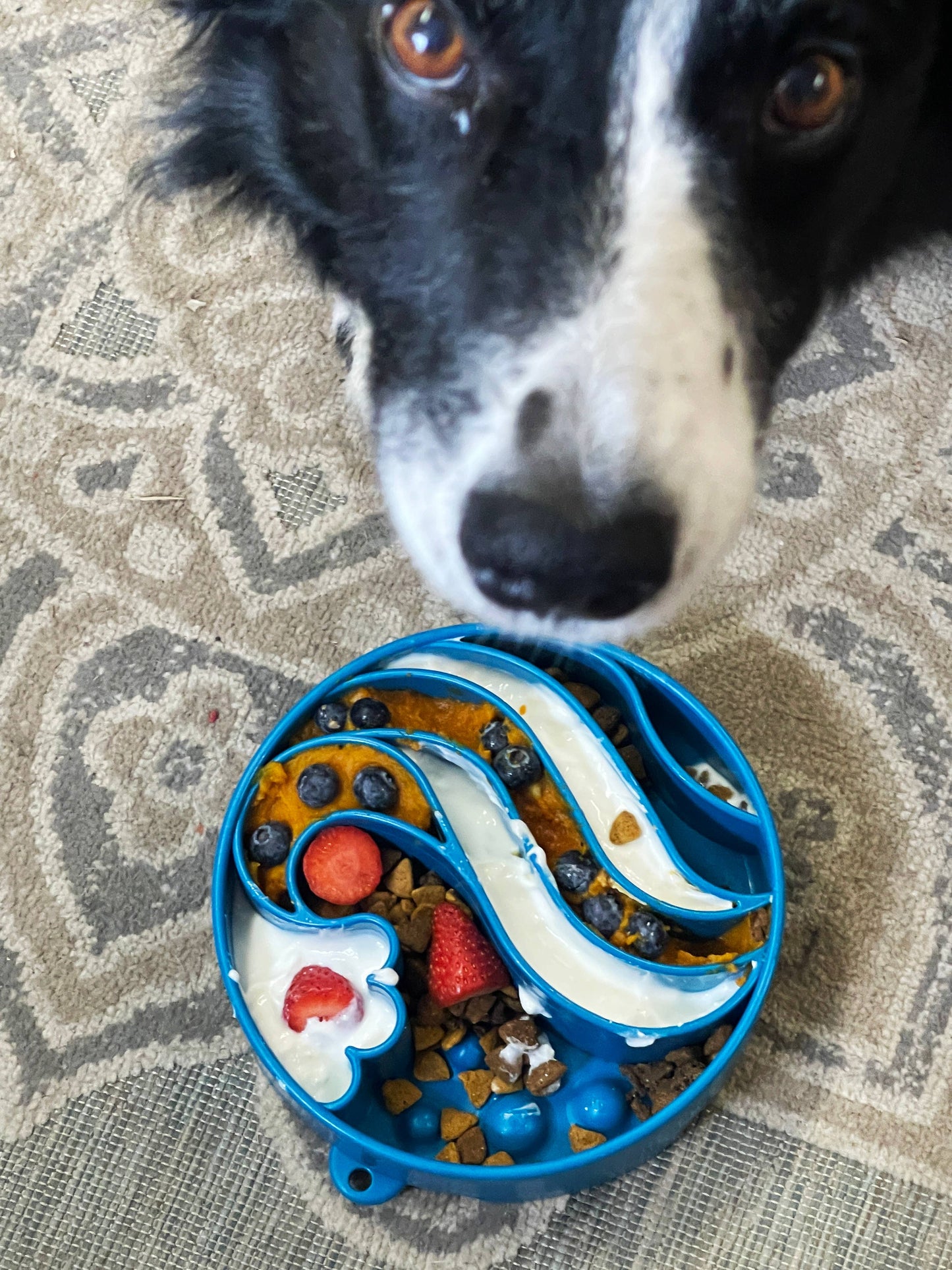 SodaPup Dog Toys - Wave Design eBowl Enrichment Slow Feeder Bowl for Dogs Image