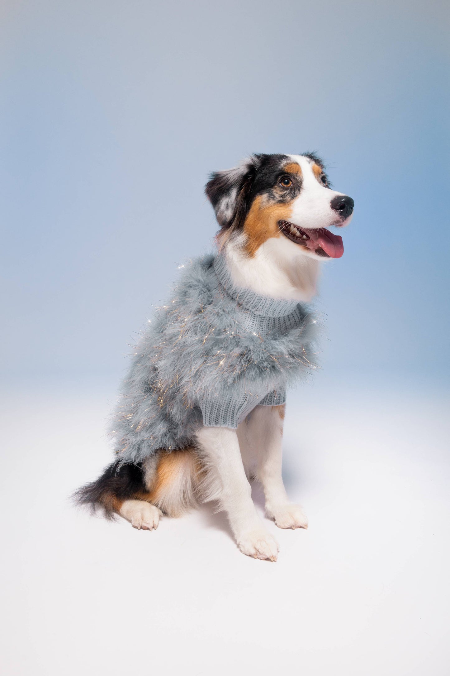 maxbone - Christian Cowan Holiday Glitz Dog Jumper