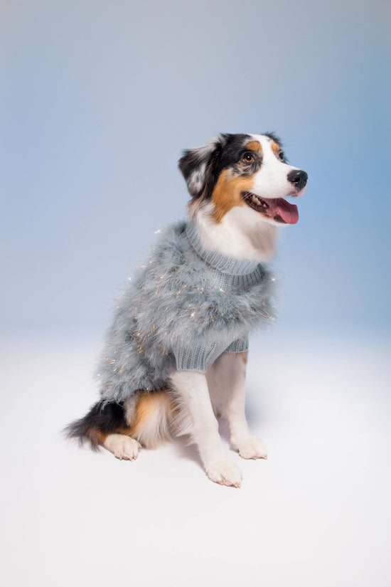 maxbone - Christian Cowan Holiday Glitz Dog Jumper