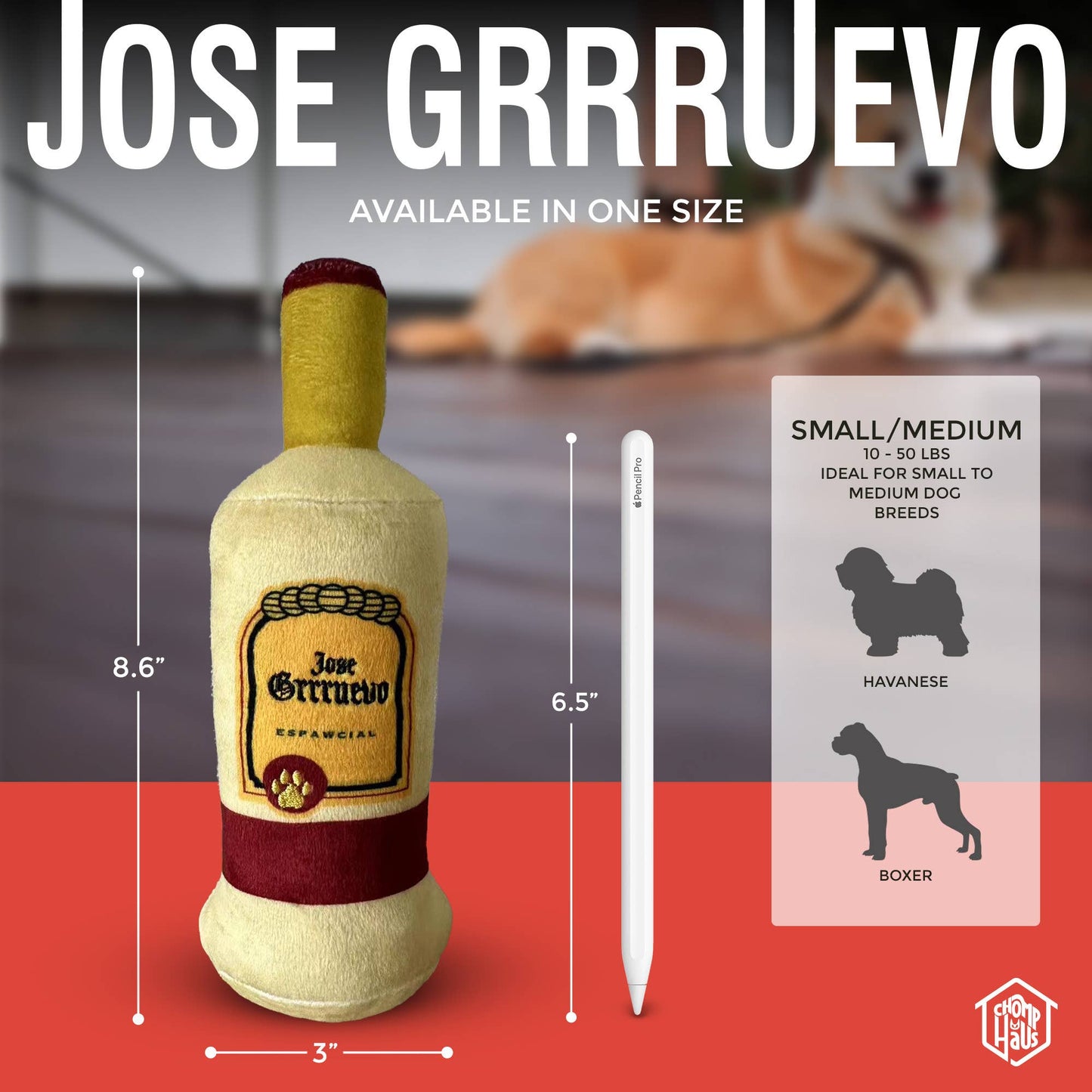 Chomp Haus - Jose Grrruevo – Plush Squeaky Designer Dog Toy Image