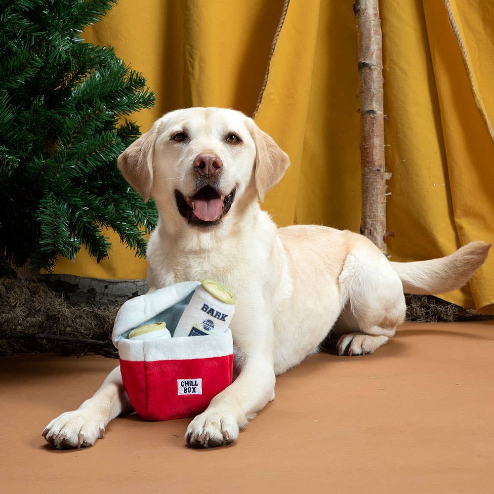 BARK Sub-Zero Camping Hero Image