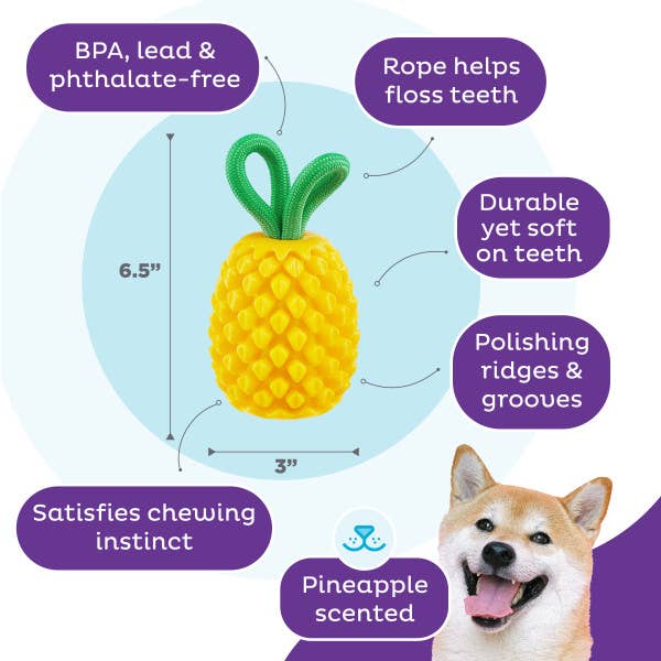 Pet Palette Distribution - Planet Dog Dental Pineapple Dog Chew Toy Yellow Image