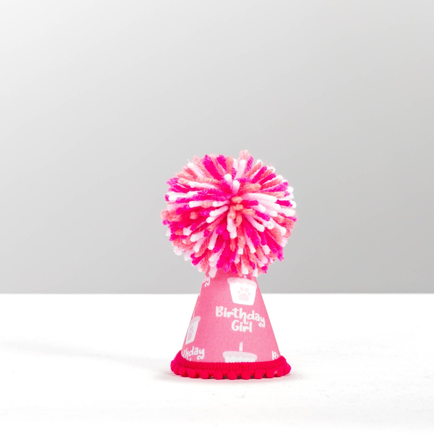 Pup Party Hats - NEW Birthday Girl Pink Ink Party Hat