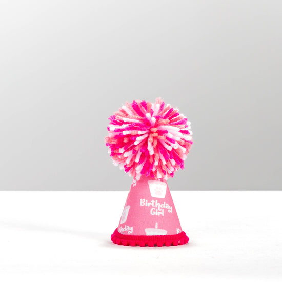 Pup Party Hats - NEW Birthday Girl Pink Ink Party Hat