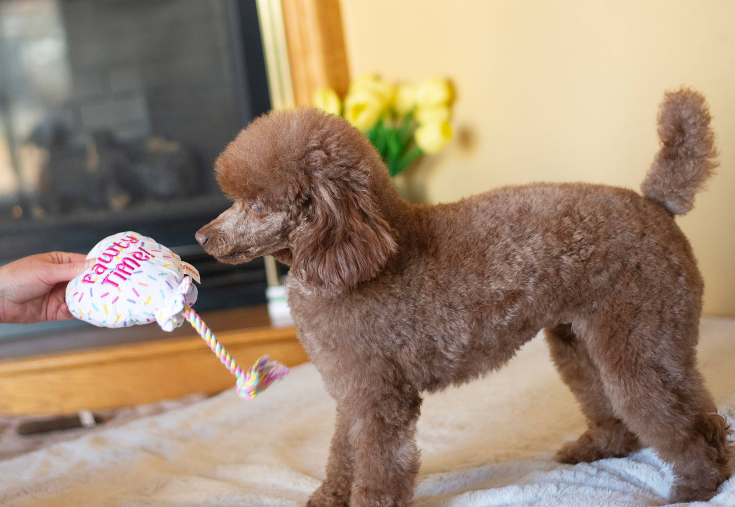 ThoozyPet Birthday Balloon Plush Dog Toy with Rope 7" Image