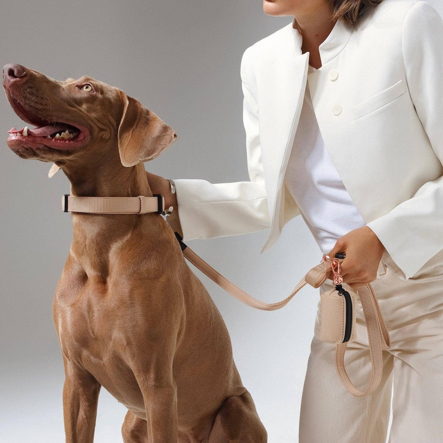 Dogistry™ - City Dog Leash - Dune Image