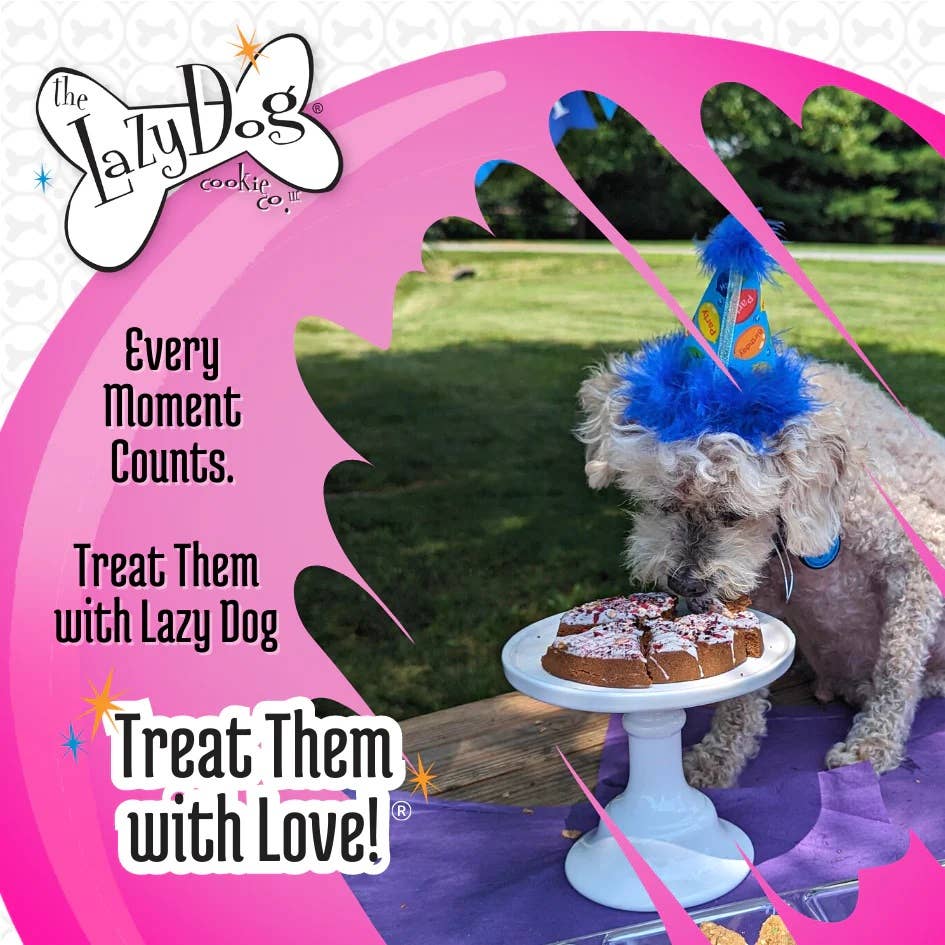 Pet Palette Distribution - Lazy Dog Happy Birthday Pup-PIE for a Darling Girl-Case of 8