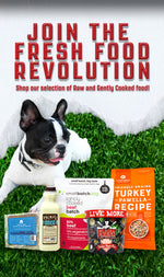Join the Fresh Food Revolution: Shop our selection of Raw and Gently Cooked Dog Food Slide for Mobile