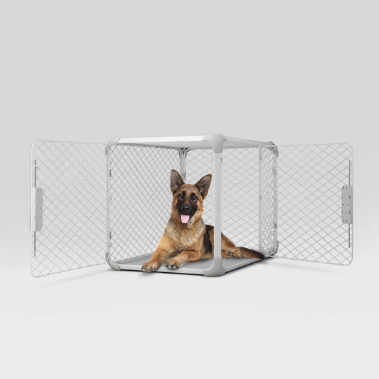 Diggs - Evolv Dog Crate  Image