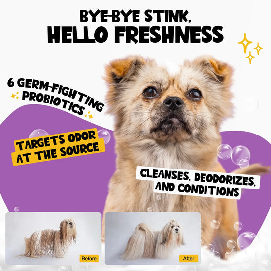 Roofus - Roofus Pet Shampoo - 1 Pack Image