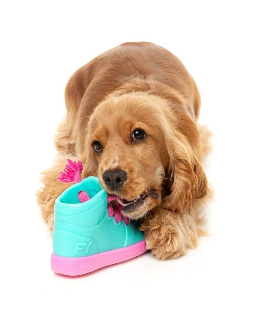 FuzzYard Fresh Kicks N' Licks Dog Chew Toy Image