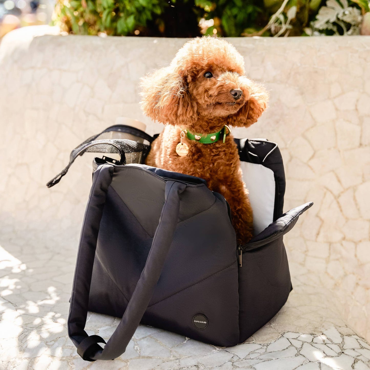 Pups & Bubs - Destination Pet Carrier Tote Black Image