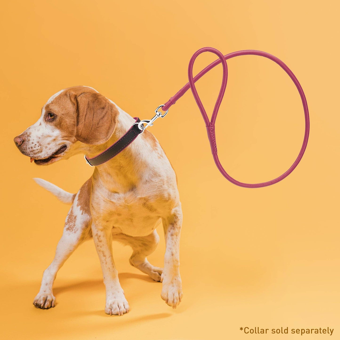 Dogline - Soft Leather Round Lead Image