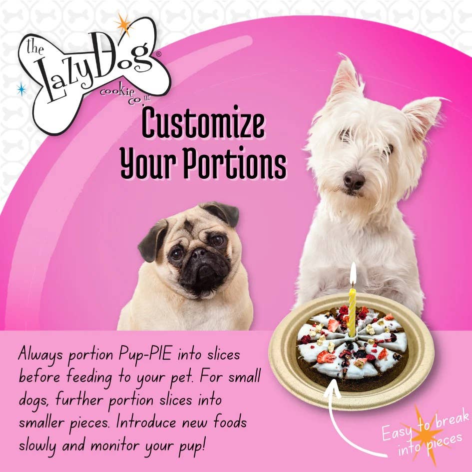Pet Palette Distribution - Lazy Dog Happy Birthday Pup-PIE for a Darling Girl-Case of 8