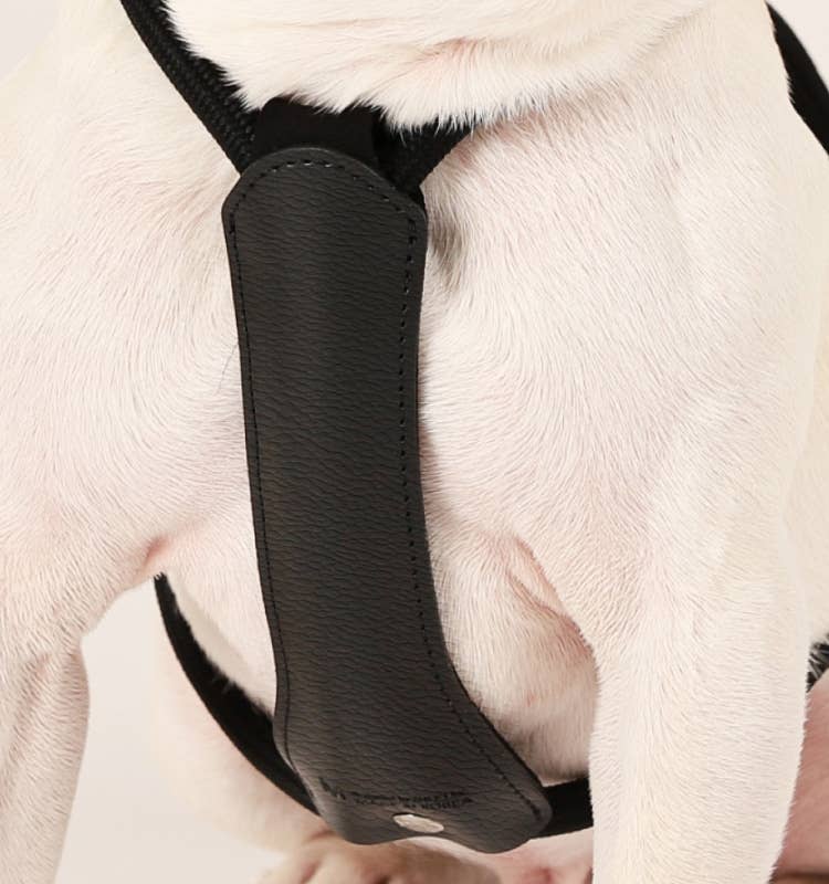 Hozi - [NEW] Essential Harness - Black Image