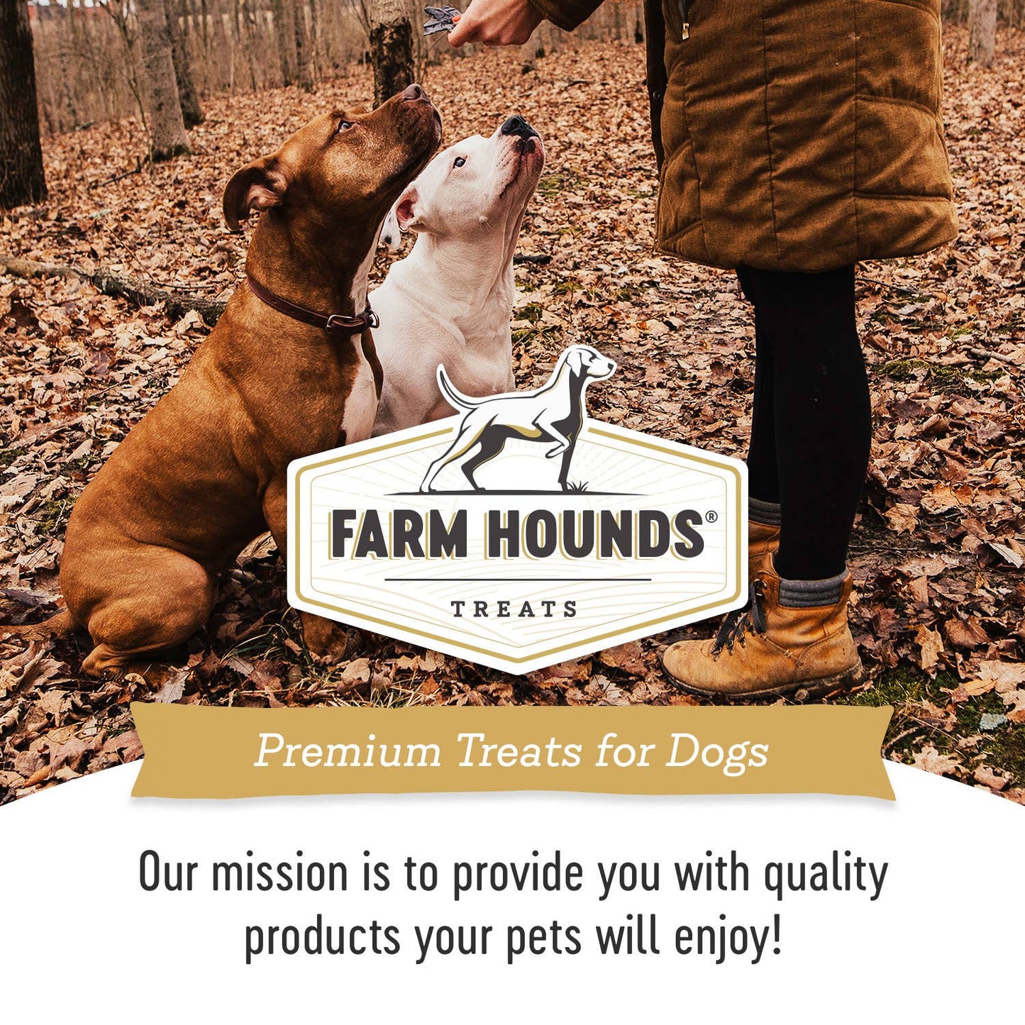 Farm Hounds - Chicken Gizzard Trainer - All-Natural Dog Treats - 4oz Image